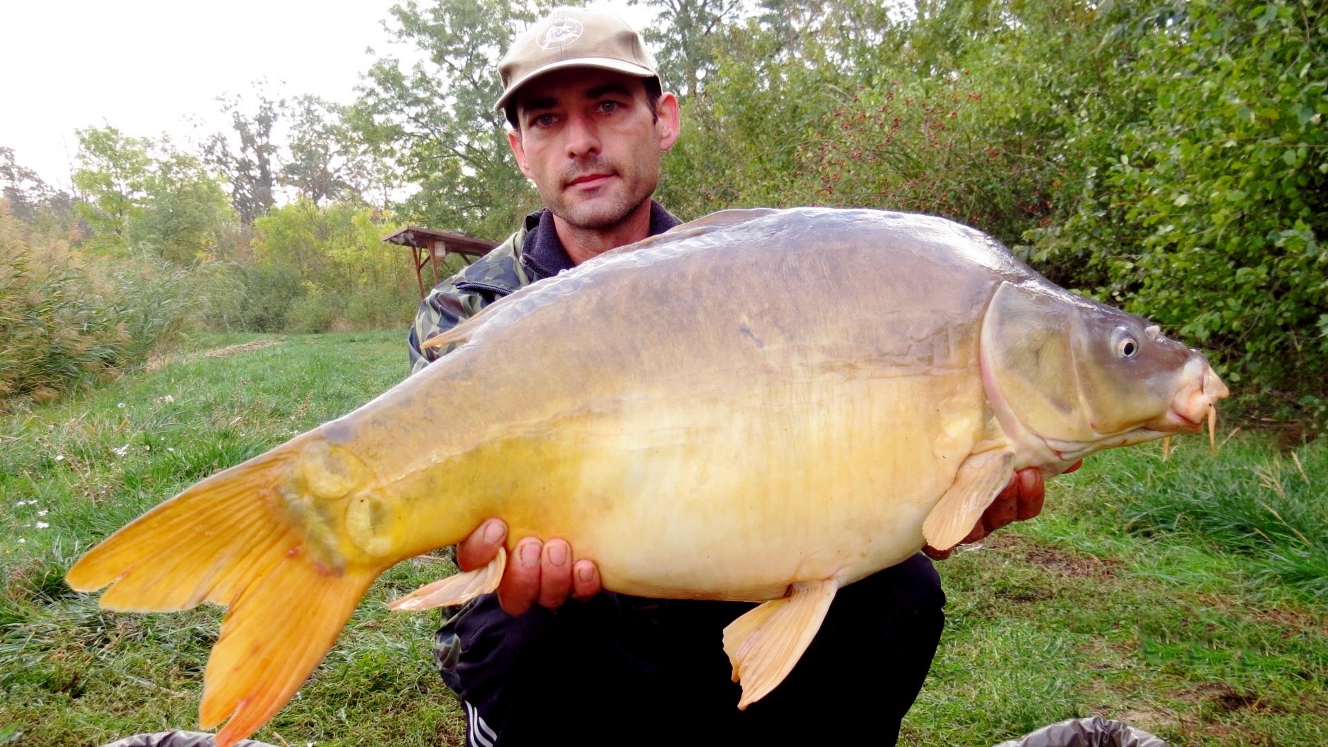 The best pictures of 2013 - 10,550